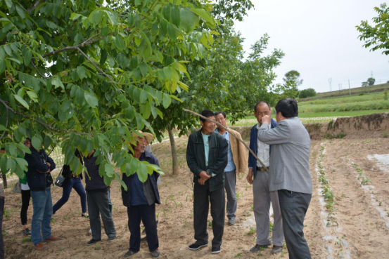 鍥劇墖3.png 鍥劇墖3.png